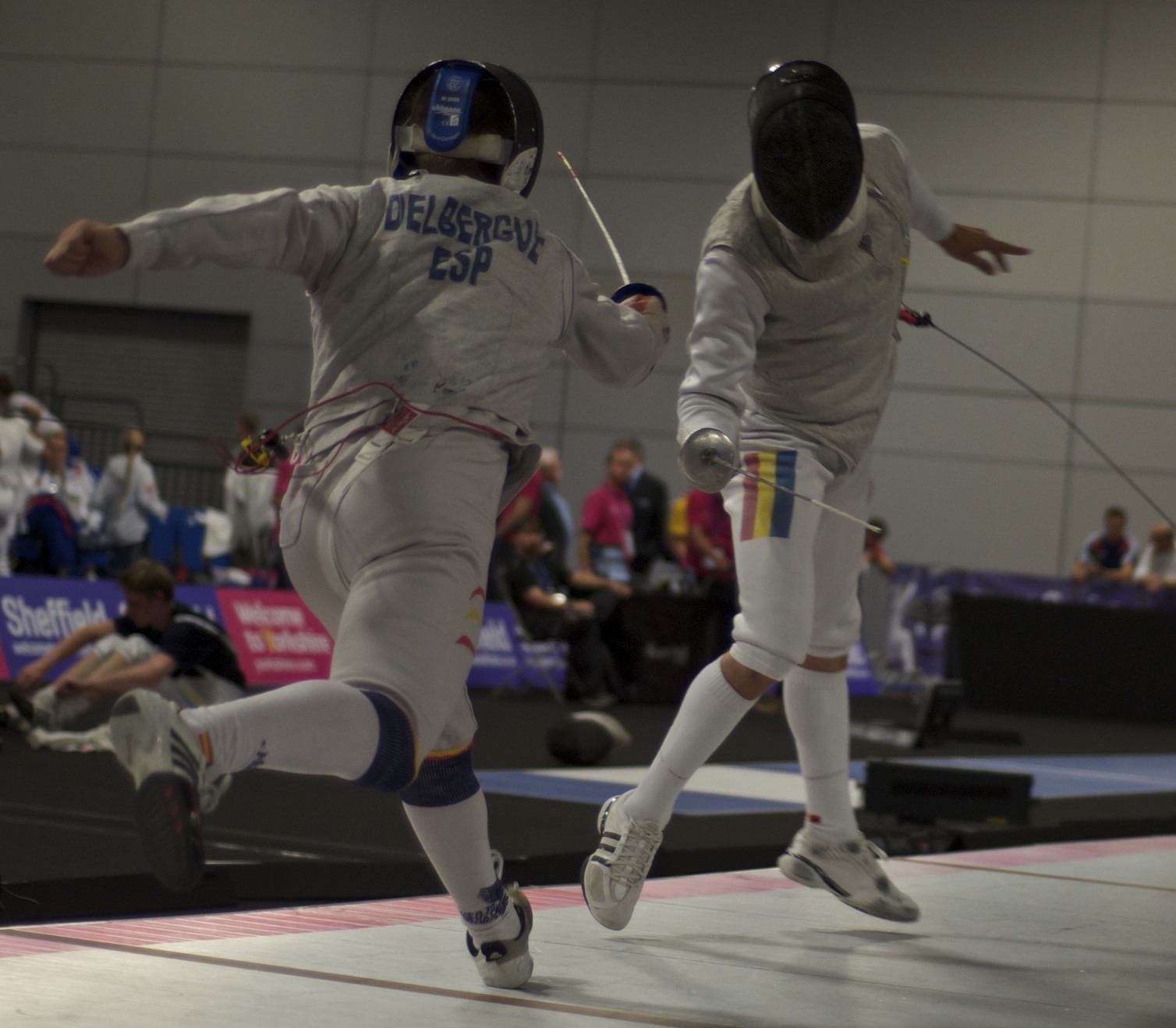 The Plashing Vole Some more photographic fencing highlights