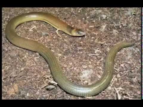 Subhanallah Tanda Kiamat Muncul Lagi Ini Paktanya Kabar Terkini