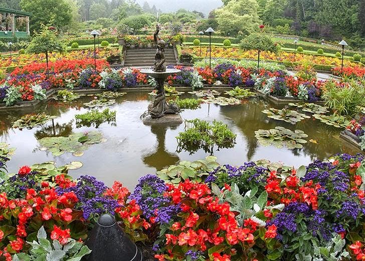 The most beautiful flower plantations and parks of the world canon