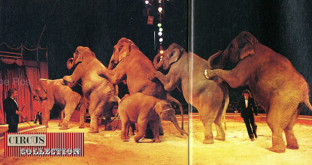 Cirque Knie pyramide de 6 éléphants 