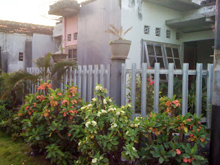 A place called home  Scenes from a memory™