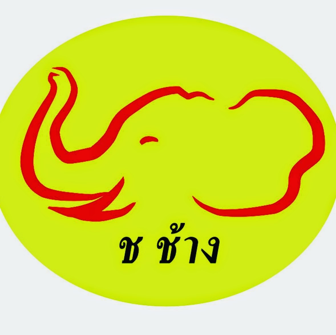 My Image 41