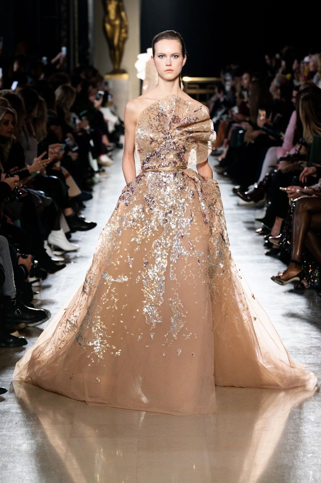 Glimmer and Sparkle: Elie Saab