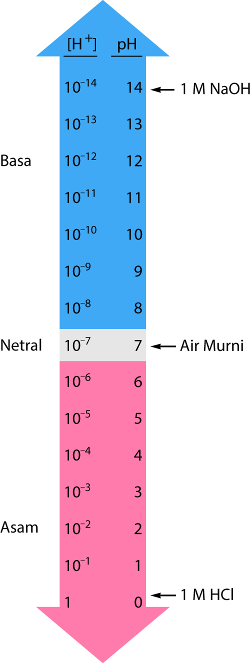 Cara Menghitung Ph Larutan Asam Dan Basa Myrightspot Com