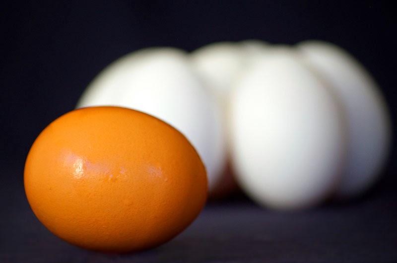 How long does shampoo last image