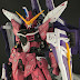 Custom Build: MG 1/100 Justice Gundam [Detailed]