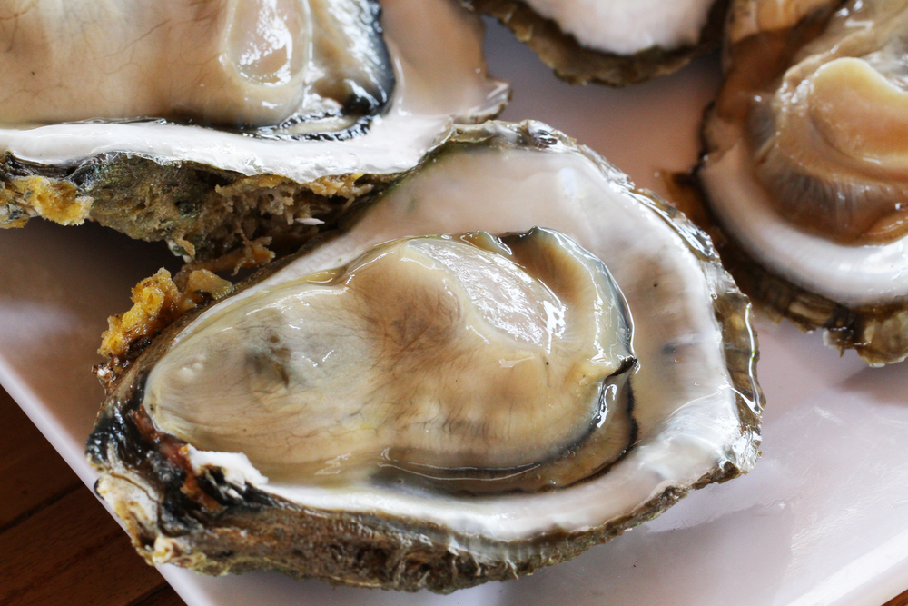 5 "Shucking" Facts About Oysters!