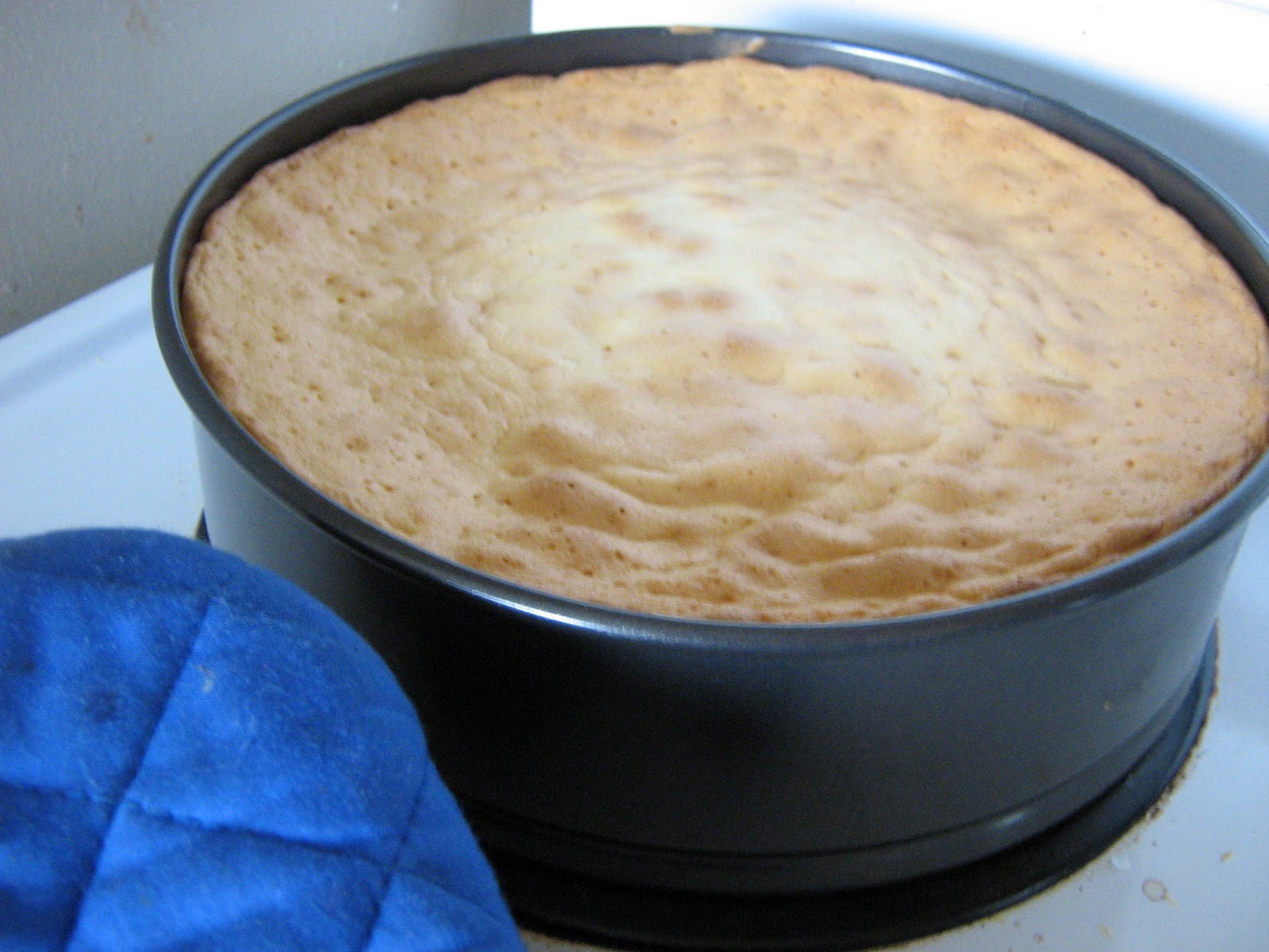 Cake Recipe Genoise Cake Recipe Julia Child