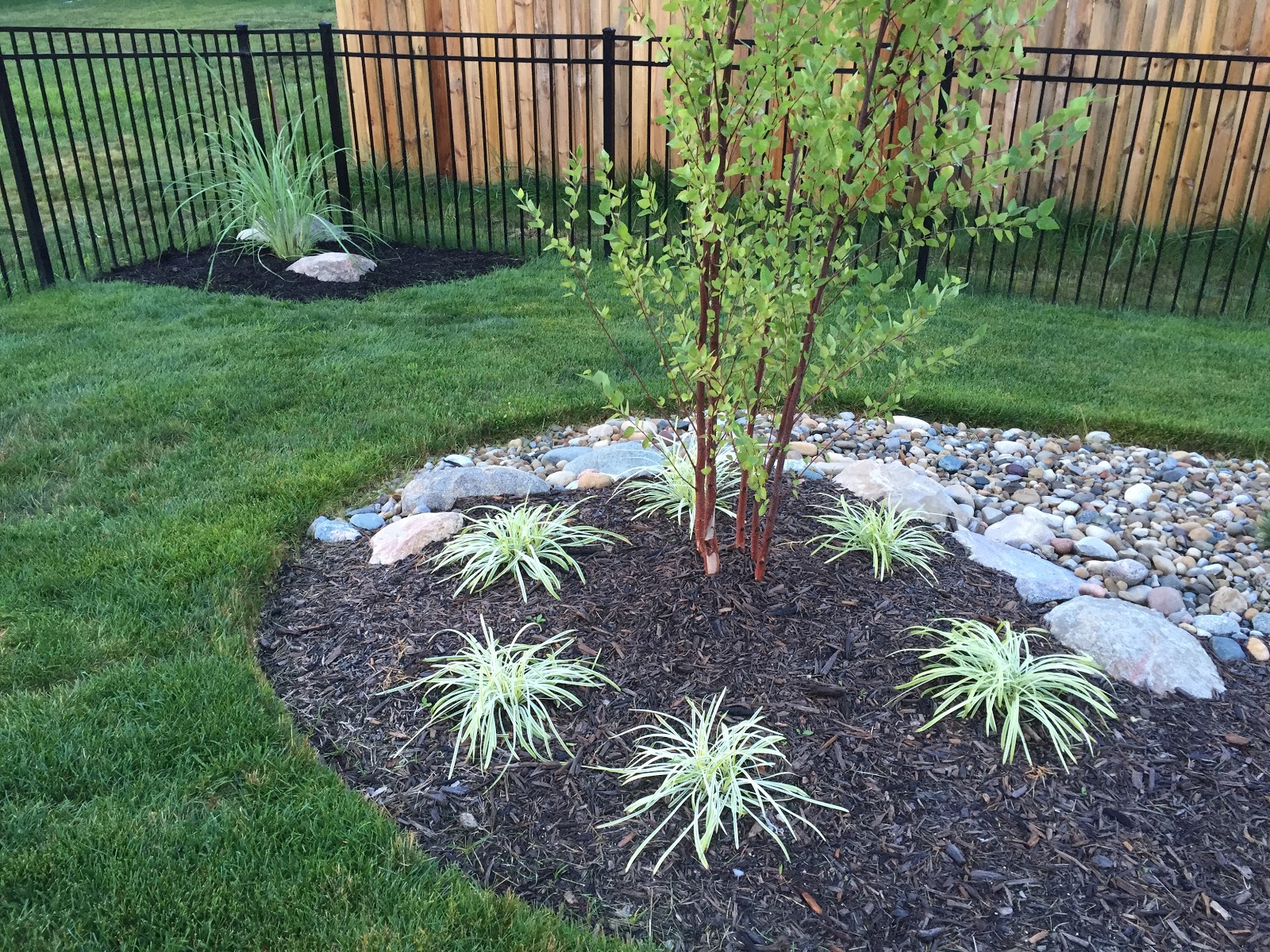 Backyard Neophyte Landscaping Blog List of Plants in My Yard