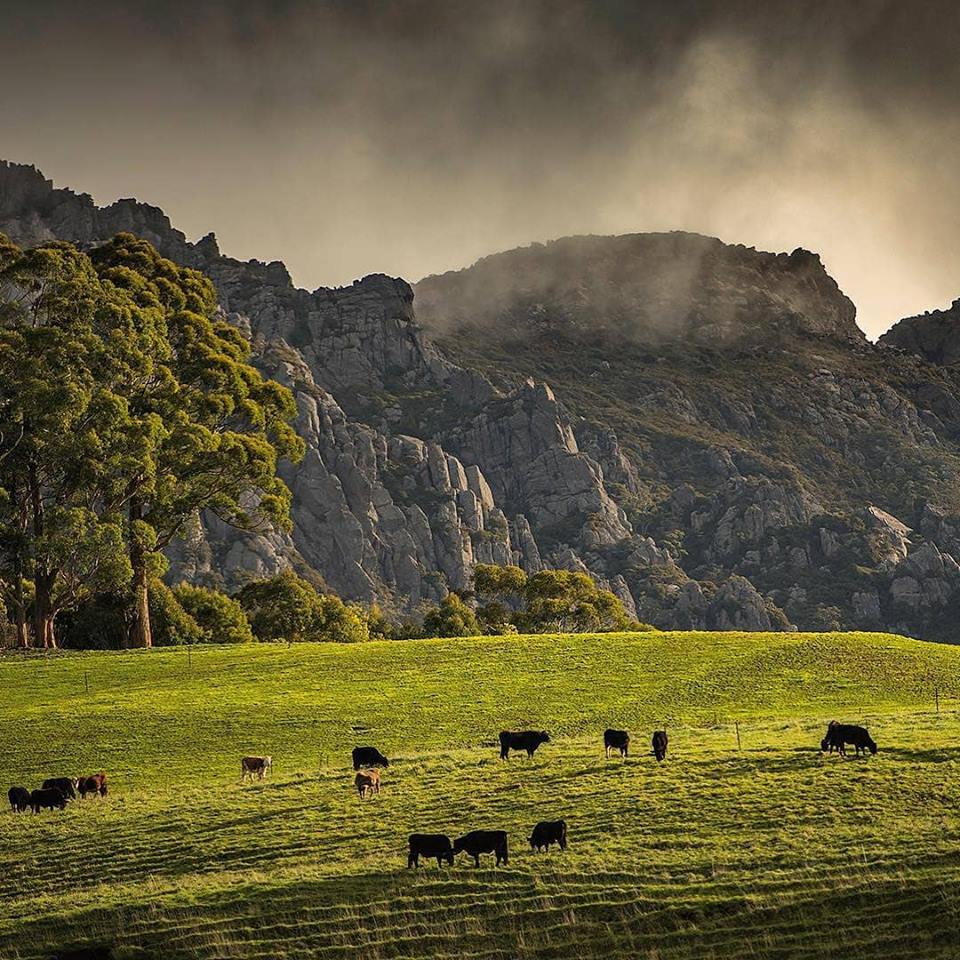 Cradle Mountain Day Tours: All about Cradle Mountain Tours