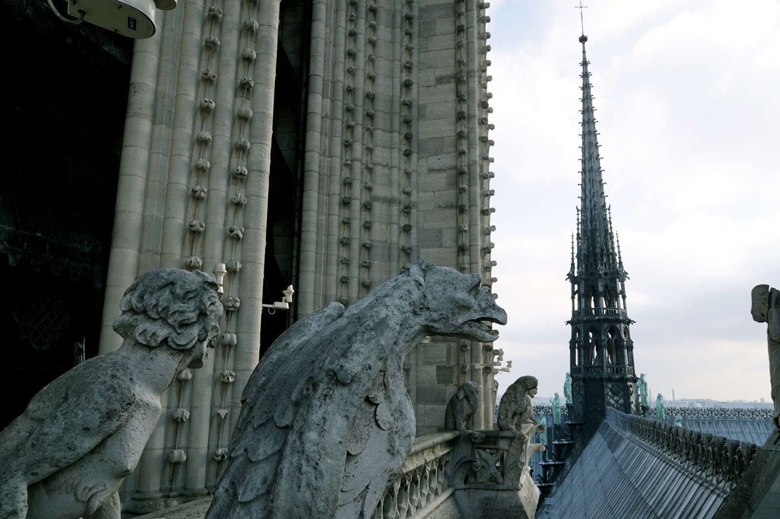 パリのノートルダム大聖堂（Cathédrale Notre-Dame de Paris）