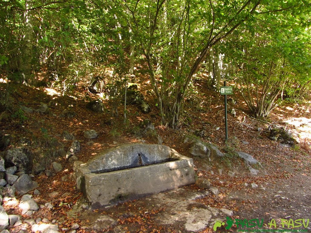 Fuente de Fonfría, Fuente Dé.