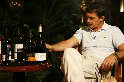 Vinho & Antonio Banderas . Perfeição Existe sim!