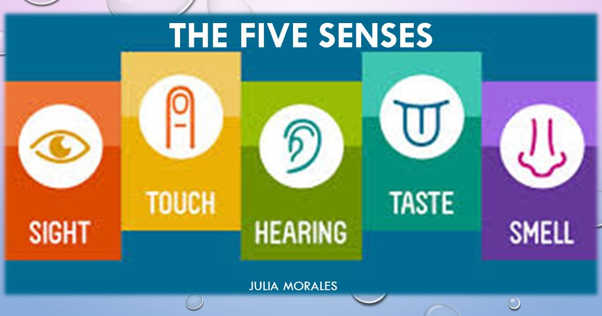 HG SCIENCE CORNER 5 senses