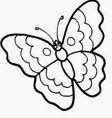 Dunia Sketsa  Gambar  sketsa  kupu kupu