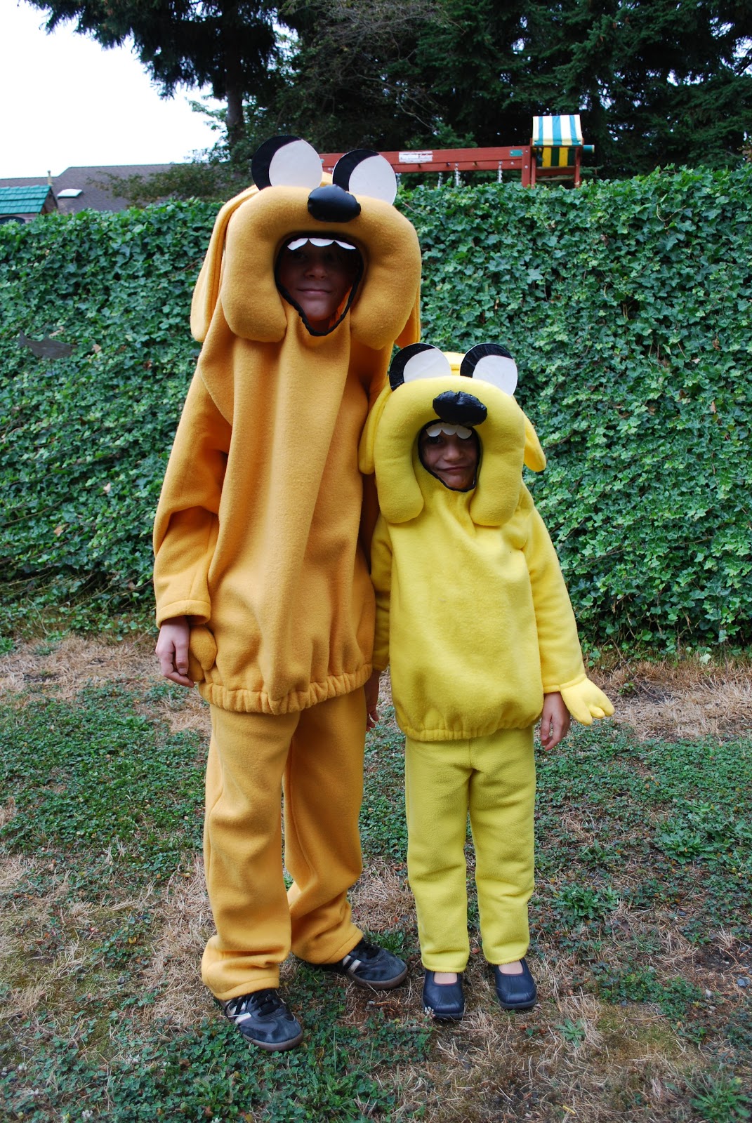 Adventure Time Jake Costume