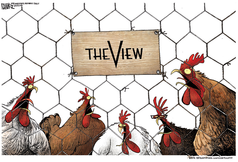 Image result for hens cackling in the hen house