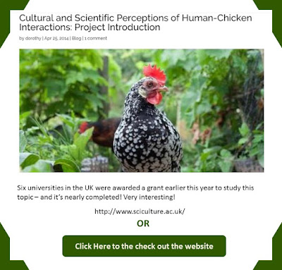 Human Chicken Interaction 