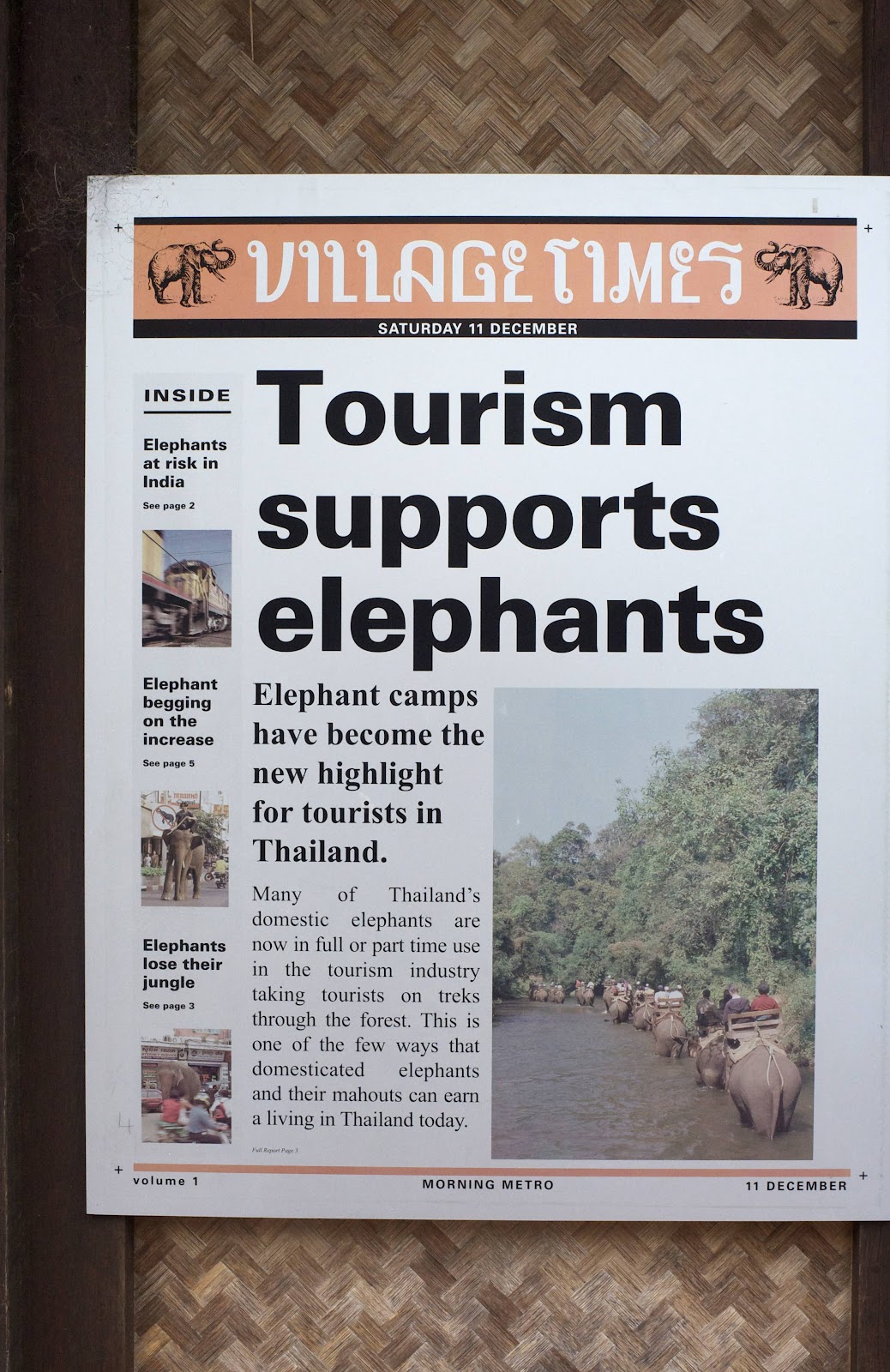 Ride Bikes, Not Elephants Sydney's Taronga Zoo