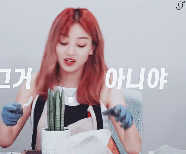 Internet_20200917_005328_10.gif
