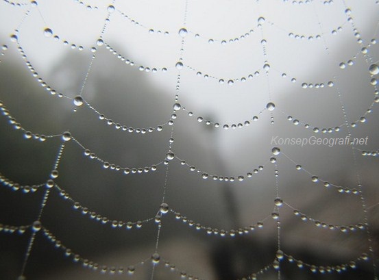 Kelembapan Udara Dan Pembagiannya Konsep Geografi