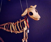 Dancing Skeleton Dog!