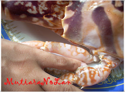 ~Mutiara NoLan~: Ketam ButterMilk