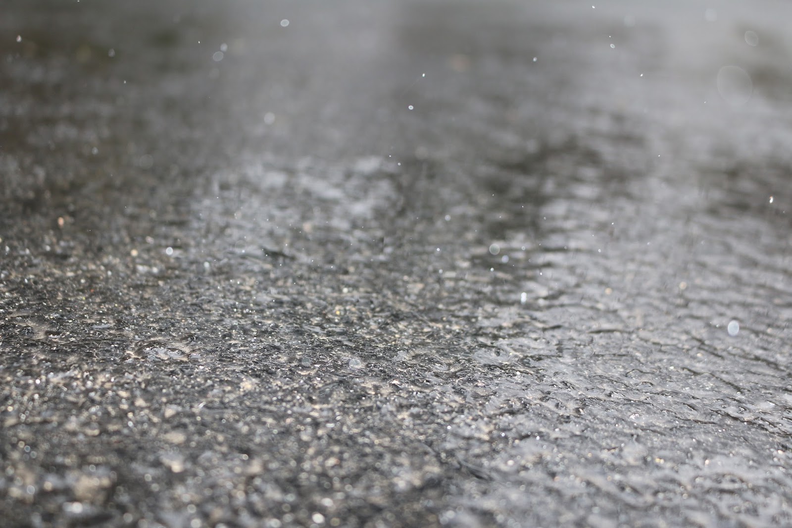 drizzle grey chambray mix women's cabrillo sneakers