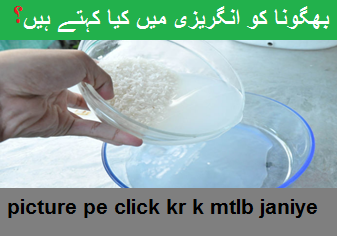 bhego na بہگونا means in english soak meaning in urdu ~ Watch And Learn
