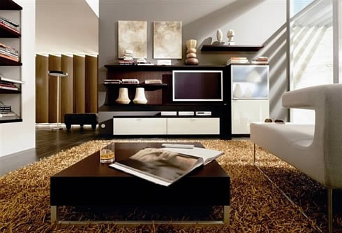 living room design ideas.