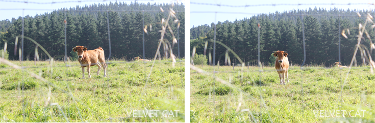 Hoy compartimos tiempo de verano fotografía