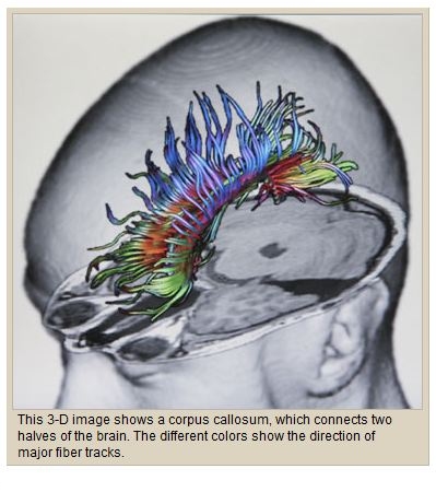 corpus callosum binaural beats meditation corpus callosum binaural beats meditation