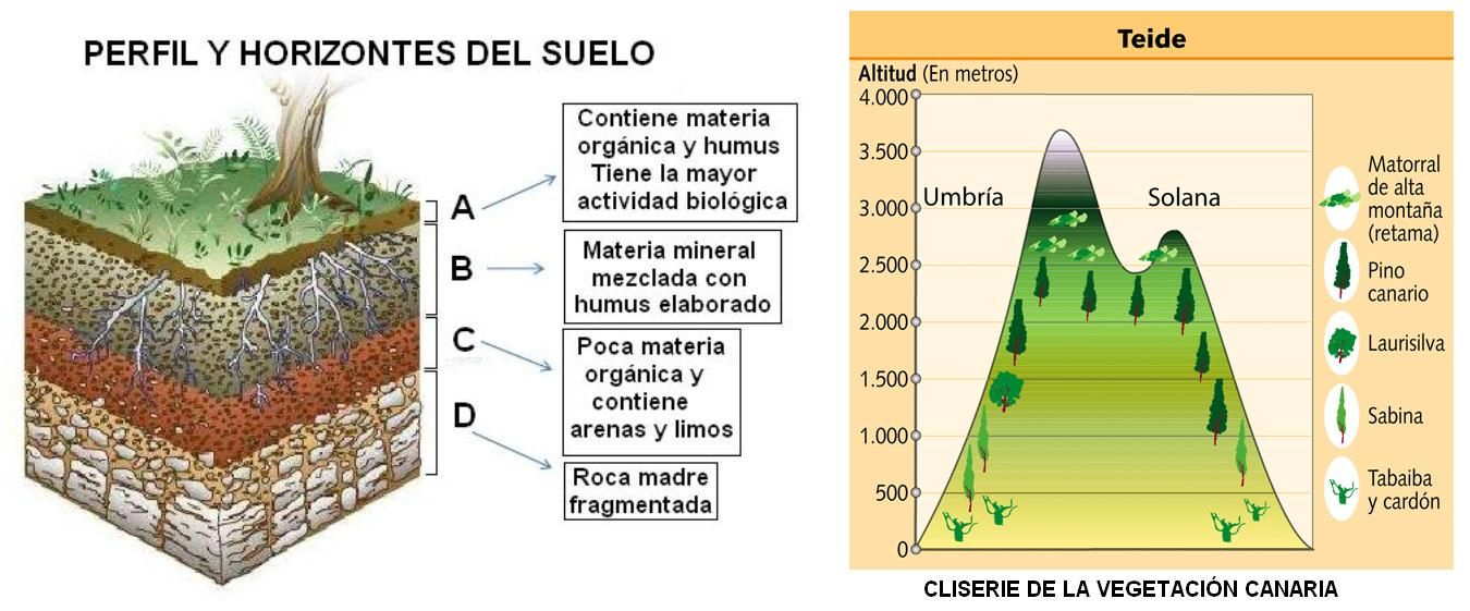 GEOGRAFÍA DE _________ESPAÑA (2016-2017): noviembre 2016