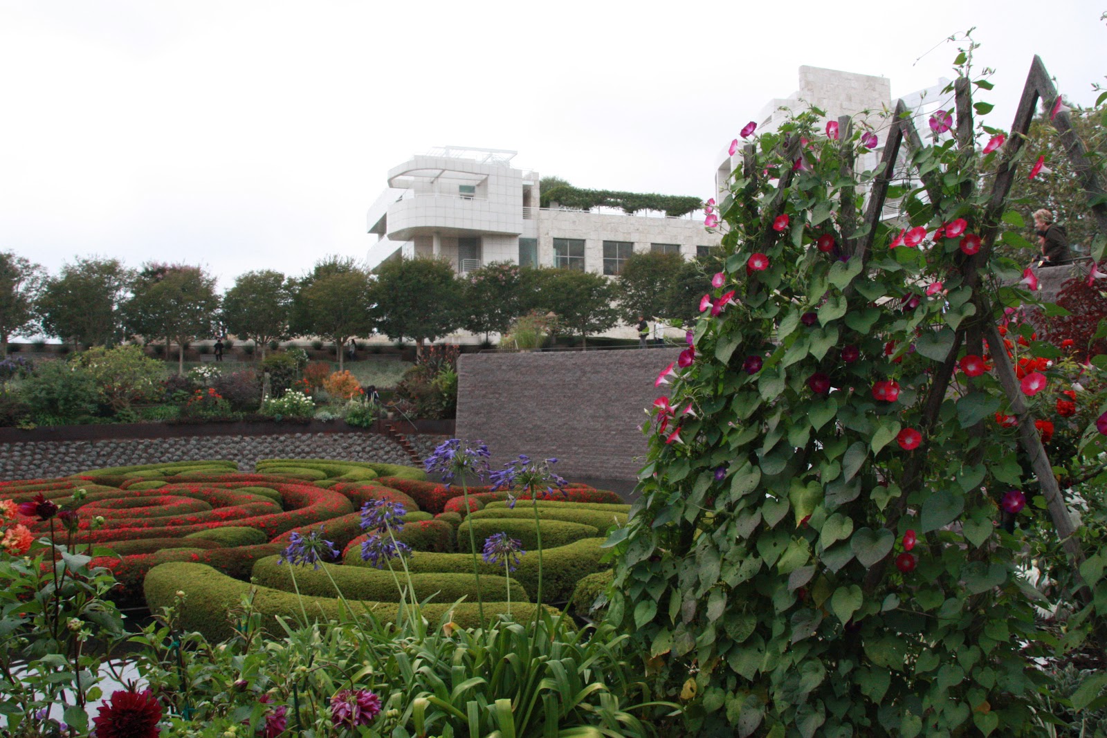 El muro vegetal: JARDÍN DEL CENTRO GETTY, LOS ANGELES