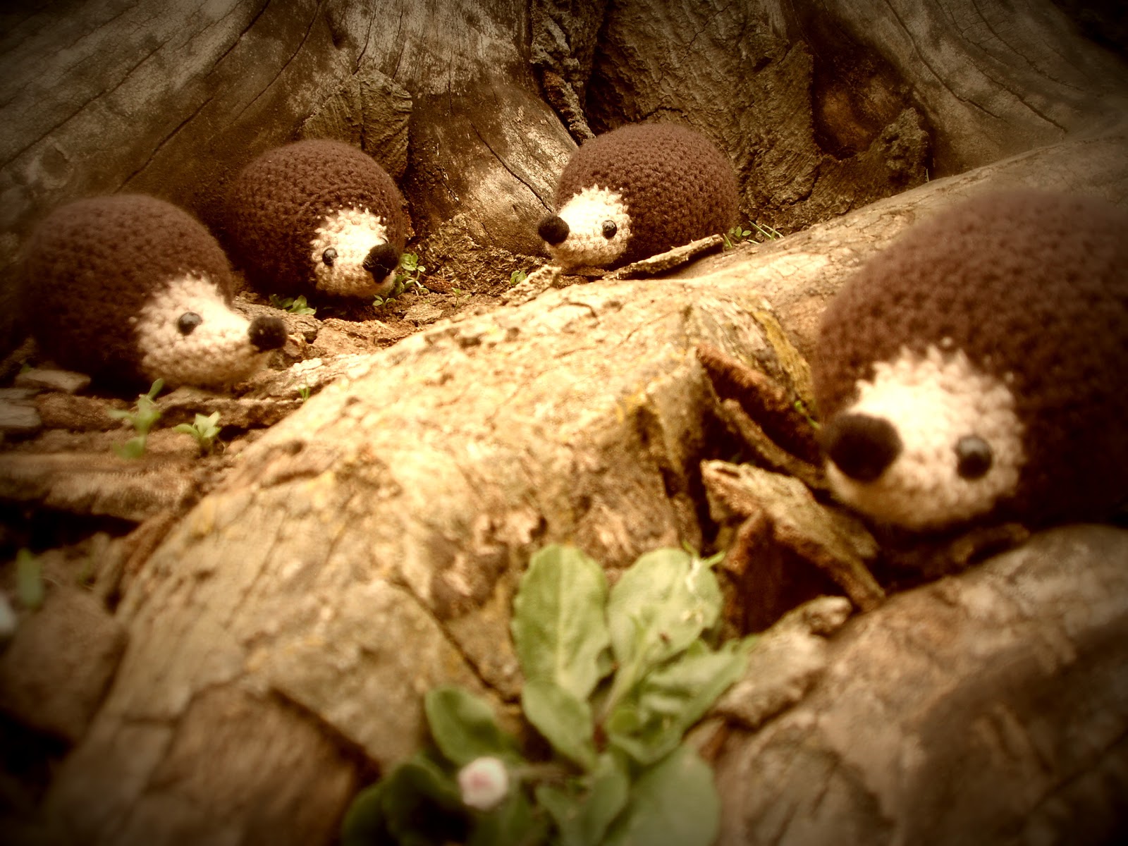 one-man-crochet-free-crochet-hedgehog-pattern