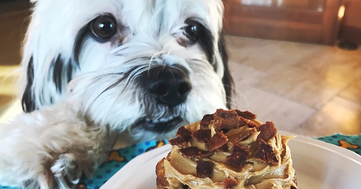 single serving dog cupcake