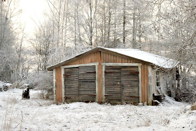 talvi, luontokuva, vanha varasto