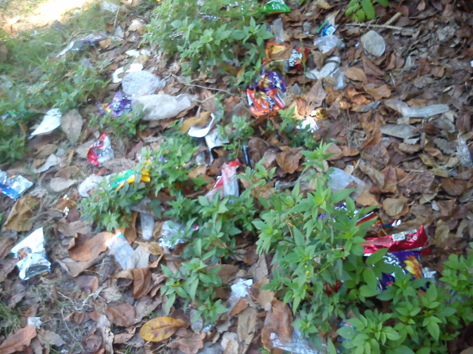 El problema de la basura en la escuela: Escuela libre sin basura