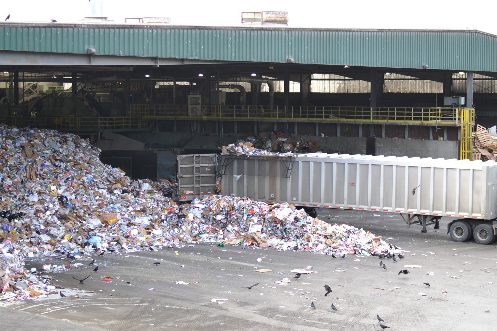 Eastside's Sustainable Solutions Thinking Green at WM's Cascade