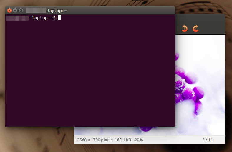 borderless windows theme ubuntu 14.04 LTS