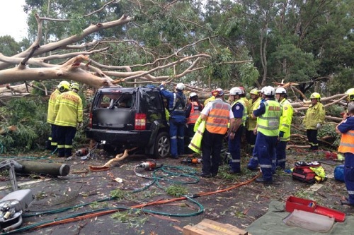 sydney-storm-damage-car-photo