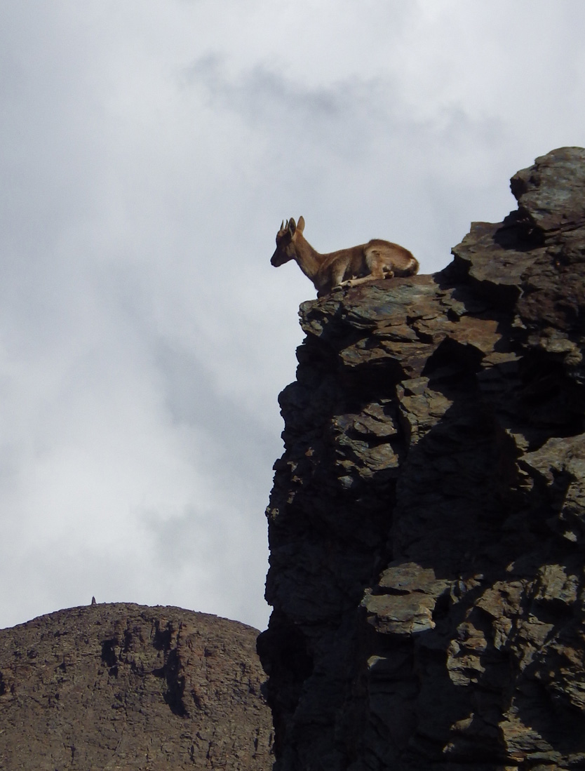 News From Sierra Nevada Guides August 2015