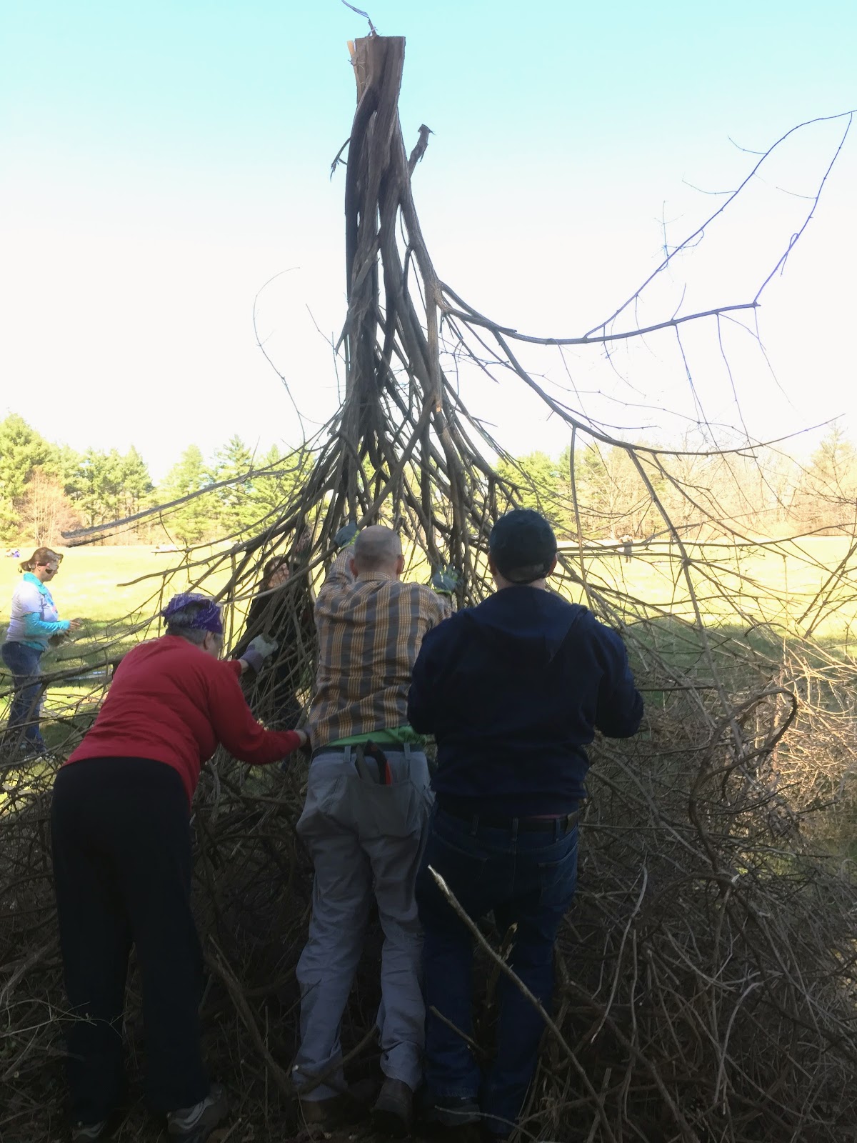 Would The Control Of Invasive Alien Plants Reduce Malaria