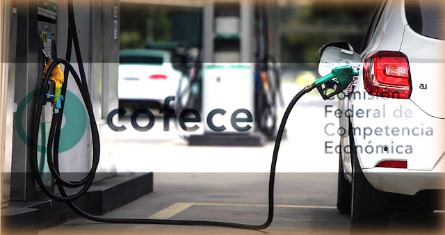 cofece, multa a gasolineras
