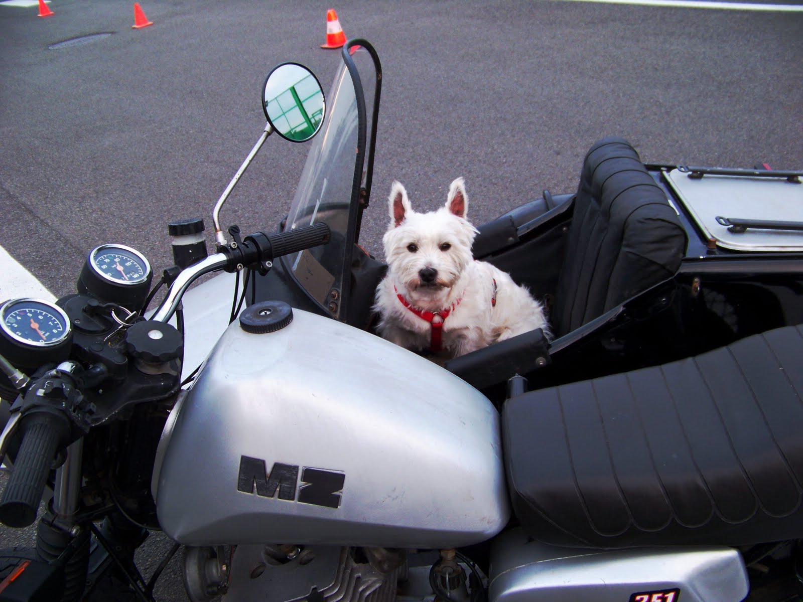 MOTORCYCLE 74 Ewan McGregor doggy sidecar
