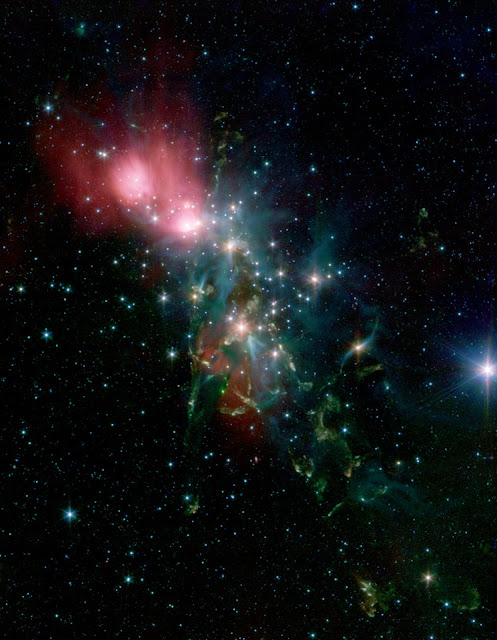 Reflection Nebula NGC 1333