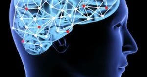 cognitive skills to grow thebrain