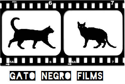 GATO NEGRO FILMS