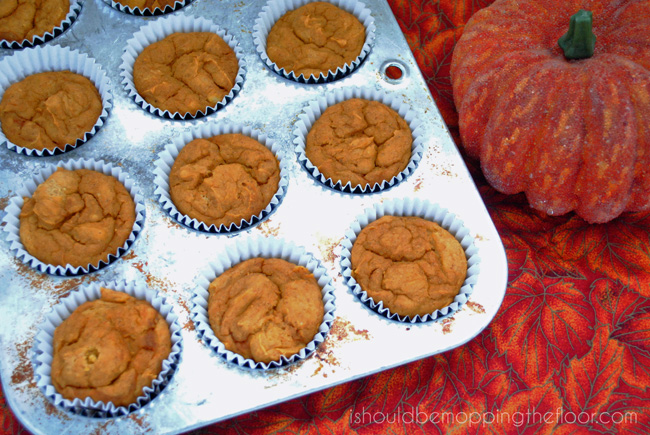 Skinny Pumpkin Spiced Muffins: 2 Weight Watchers Points Plus per serving {ONLY THREE INGREDIENTS!}