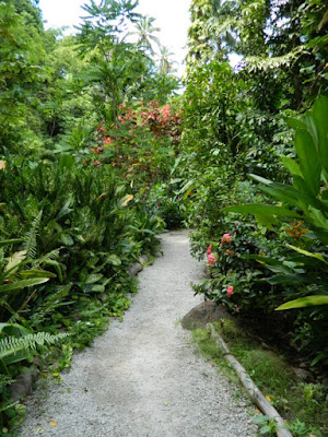 Diamond Botanical Gardens down a path Soufriere St. Lucia by garden muses-not another Toronto gardening blog Diamond Botanical Gardens down a path Soufriere St. Lucia by garden muses-not another Toronto gardening blog